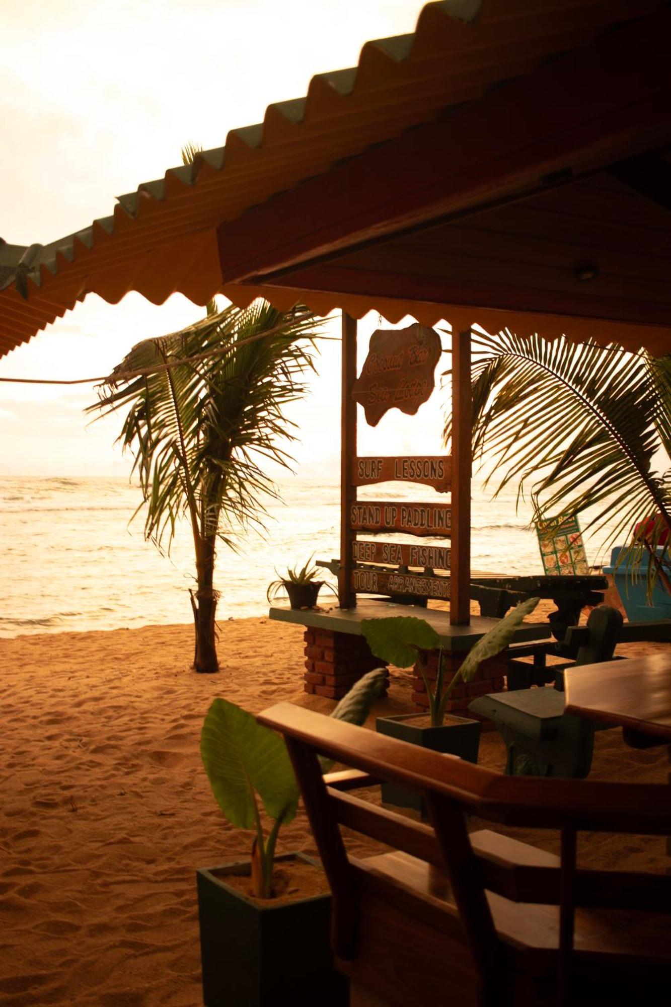 Hotel Coconut Bar Sea Lodge Beruwala Dış mekan fotoğraf